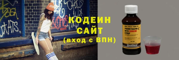 хмурый Абаза