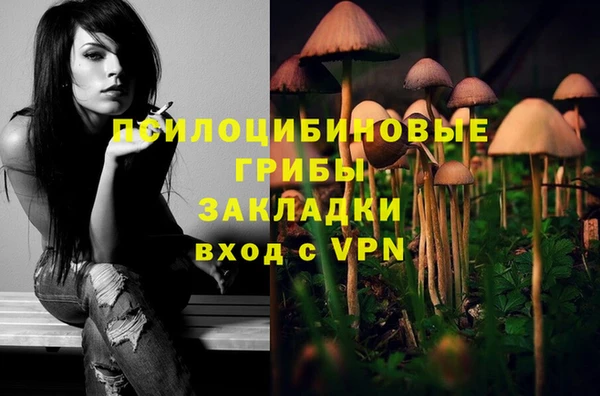 герыч Алзамай