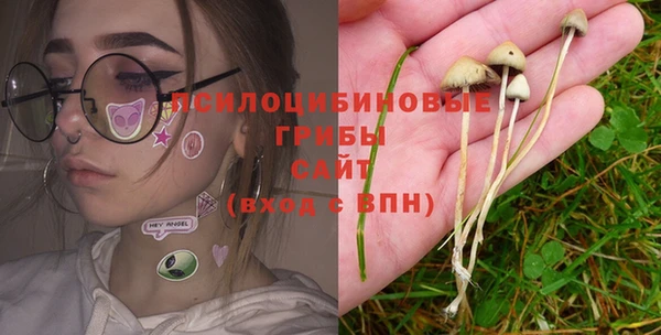 герыч Алзамай