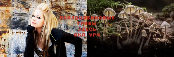 ешки Алексеевка