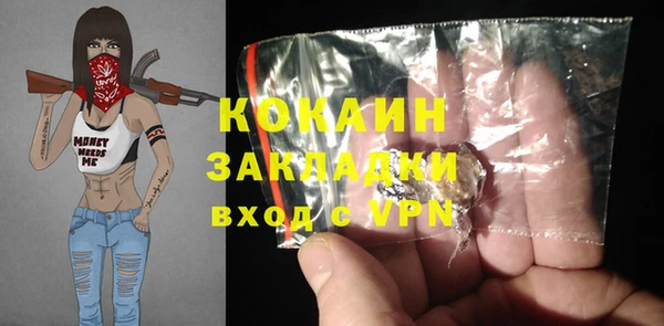 мет Алексин